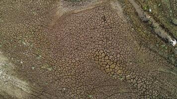 Aerial view of a dry lake with rare green plants growing from deep cracks. Shot. Dried soil texture, concept of global warming and drought. video