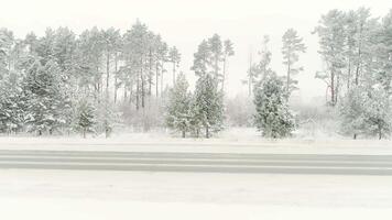 aéreo ver de un nieve cubierto vacío la carretera y invierno bosque. escena. natural antecedentes con mezclado bosque creciente a lo largo el la carretera. video