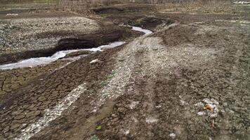 el secado arriba arroyo. disparo. agrietamiento arcilla en superficie de suelo cerca el secado arroyo. pequeño río fluye mediante seco arcilla zona video