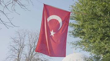 Istanbul, kalkoen - maart, 2021. vlag van kalkoen is vliegend Aan achtergrond van moskee. actie. rood Turks vlag blijft hangen Aan achtergrond van groen boom en wit moskee video