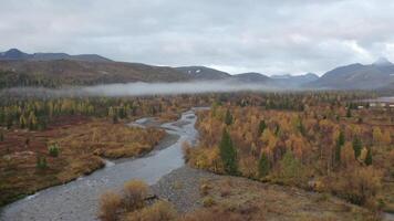 aérien vue de une pittoresque vallée avec l'automne coloré croissance des arbres et flétri herbe. agrafe. pierreux rivière écoulement avec faible des nuages et boisé collines sur le Contexte. video