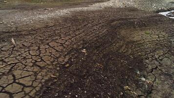 el secado arriba arroyo. disparo. agrietamiento arcilla en superficie de suelo cerca el secado arroyo. pequeño río fluye mediante seco arcilla zona video