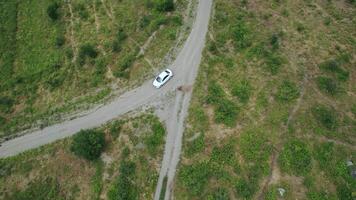 antenn se av en passagerare vit bil körning på en lantlig smal väg i berg. handling. en fordon rör på sig längs sällsynt träd och grön kulle backar. video