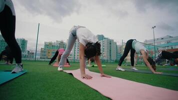 vereinigt Königreich - - London 05.12.21. jung Frauen im Sport Kleider tun Fitness Übungen auf das Sport Boden umgeben durch Wohn Häuser. . tun Yoga draußen auf ein Grün Rasen im das Morgen. video