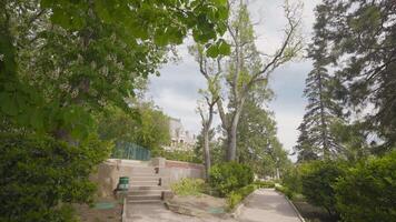 sentiero nel verde parco nel Sud. azione. ben mantenuto sentiero con pulito giardino a palazzo. natura Riserva a storico palazzo video