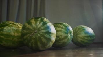 Close up of four whole watermelons on a wooden brown table indoors. . Summer vitamins, ripe berries in the kitchen at home. video