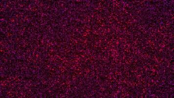 abstrakt Gitter mit klein blinkend rot und lila Kreise, nahtlos Schleife. Animation. Mosaik Textur von fließend winzig Partikel. video