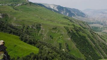 Haut vue de rocheux falaises au dessus vert Montagne vallée. action. magnifique paysage avec haute vert montagnes. Stupéfiant brillant vert pistes de haute montagnes video