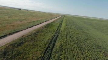 superiore Visualizza di rurale strada vicino agricolo campi. sparo. fuco mosche al di sopra di campo strada su sfondo di orizzonte con blu cielo. bellissimo paesaggio con strada e verde i campi su soleggiato giorno video