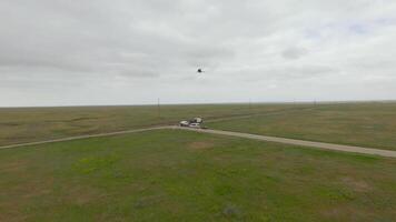 topo Visão do vôo cegonha. tomada. Segue vôo pássaro dentro campo em drone. zangão segue vôo branco cegonha sobre verde campo dentro nublado clima video