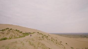 People walk along sandy ridge. Action. Tourists walk on sand hills in desert. Walking tour in desert on background of endless horizon in cloudy weather video