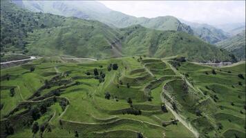 Aerial view of unusual mountain green slope with wavy formations covered by grass and rare trees. Action. Natural background with wild and huge summer hills. video