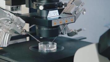 scientifico microbiologico ricerca nel petri piatto a il laboratorio. . vicino su di microscopio e il processi di Lavorando con batteri e soluzioni, gocciolante chimico reagente a partire dal pipetta su video