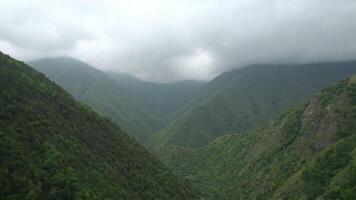 Beautiful mountain valley with greenery and cloudy sky. Action. Top view of mountain landscape with lush greenery and low clouds. Green mountains with cloudy sky video