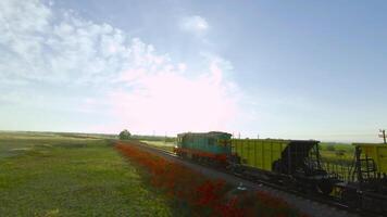 Train is traveling in green field with flowers. Shot. Drone follows freight train on background of beautiful summer landscape. Train goes to horizon with green fields on sunny day video