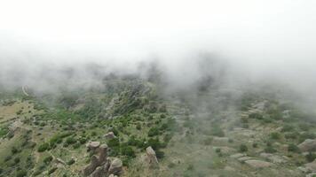 Beautiful flight to top of mountain on foggy slope. Shot. Drone ascent to green mountain with thick fog. Top view of beautiful mountain slopes in foggy shroud video