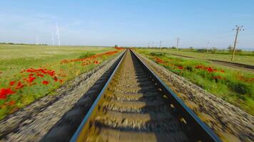 Quick trip on rails. Shot. Beautiful view of rails from moving train. Fast train ride on rails on background of red flowers and green field video