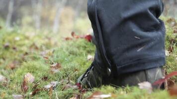 un paso en el bosque. acortar. un hombre caminando en negro pantalones y botas quien camina en tarde otoño en verde vegetación . video