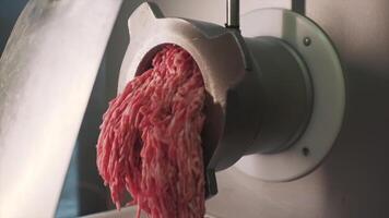 Concept of cooking . Clip. A metal meat grinder finely rubbing a certain amount of meat in close-up. video