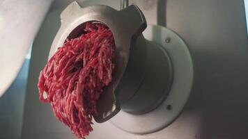 Concept of cooking . Clip. A metal meat grinder finely rubbing a certain amount of meat in close-up. video