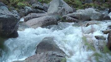 cascada. acortar. un pequeño cascada fluye en enorme gris piedras en contra el antecedentes de un oscuro verde bosque. video