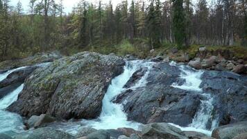 Clean river key. Clip. The blue key of the river that beats against large gray stones against the background of a small green forest . video