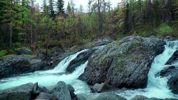 Clean river key. Clip. The blue key of the river that beats against large gray stones against the background of a small green forest . video