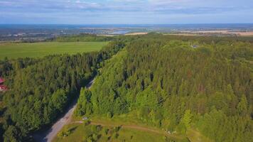 lindo Visão do a campo a partir de a drone. grampo. uma enorme russo verde floresta com uma estrada, uma campo além, uma Claro azul céu, uma rio e uma pequeno peça do a cidade. video