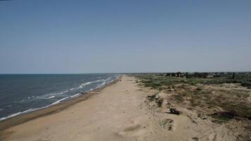 antenne visie van zanderig kust en blauw zee Aan Doorzichtig lucht achtergrond. actie. vliegend bovenstaand zomer natuur landschap met zanderig strand en groen. video