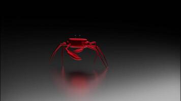 Abstract red crab moving isolated on a black background under the lantern light. Design. Animated small cute crab, model of crustacean animal. video