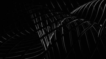 Abstract monochrome spiral elements creating a corridor effect on a black background, seamless loop. Design. Twisted black and white 3D stripes spinning endlessly. video