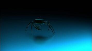 Swimming crab runs along the blue bottom on a black background. Design. Schematic cartoon animal crab moving from left to right. video