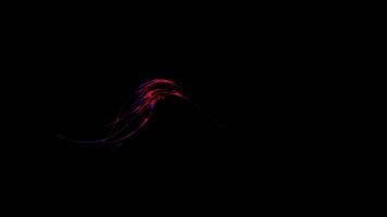 Chaotic movement of colorful light flares isolated on a black background, seamless loop. Design. Bended and twisted flowing stripes and lines. video