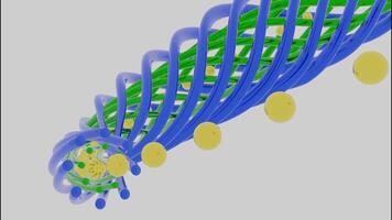 abstrakt bunt verdrehte Röhren verbrauchen klein Kugeln isoliert auf ein Weiß Hintergrund, nahtlos Schleife. Design. ziehen um ungewöhnlich bunt Form. video