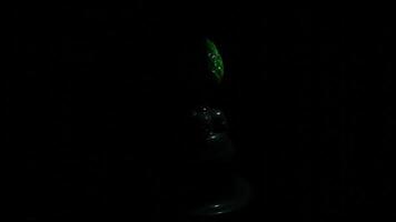 stänga upp av en enda utomjording ägg i en komplett mörker under de rör på sig ljus. design. klibbig lysande utomjordisk ägg med okänd varelse inuti. video