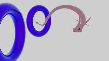 magisch sprookje Aziatisch draak vliegend door ringen geïsoleerd Aan een wit achtergrond. ontwerp. geanimeerd traditioneel oosters soort dier op zoek Leuk vinden klein draak of een slang vliegend door de cirkels. video