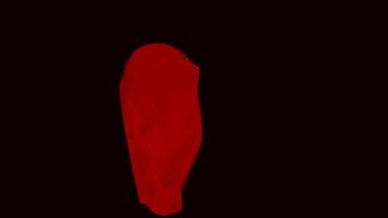 flytande röd tyg på isolerat bakgrund. design. veck på röd tyg flygande i luft. skön röd tyg spöklik rör sig i luft video