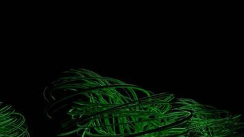 Animated lines grow like plant. Design. 3D lines grow and twist on black background. Lines move and grow like plant video