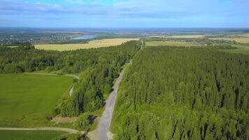 ein Vogelaugen Aussicht von das Wald. Clip. ein enorm Wald mit hoch Grün Bäume, Nächster zu das Straße, hinter welche ist ein Gelb Feld, Blau Himmel und im das Entfernung ein Fluss oder Teich. video