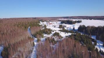 View from the helicopter. Clip. Beautiful snowy winter forest with big fir trees and birches . video