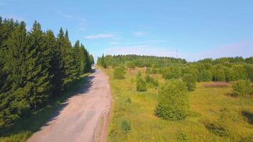 Summer road. Clip. A view of a green forest path where one bus and a car rides around beautiful fir trees and a lot of grass. video