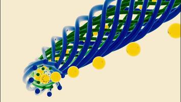 resumen Moviente espiral conformado objeto aislado en un blanco antecedentes. diseño. retorcido líneas formando un tubo con volador esferas adentro, sin costura bucle. video