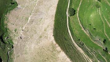 Aerial top view view of a mountain in the national park in Slovenia at spring. Action. Flying above a high hill with a one slope covered by green grass and narrow paths and another by stones and sand. video