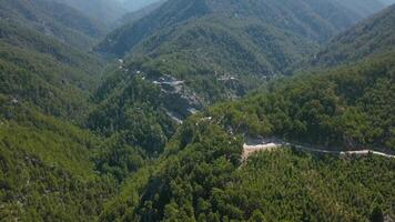 A bird's-eye view of huge mountains. Clip. Huge green summer mountains with growing trees on them . video