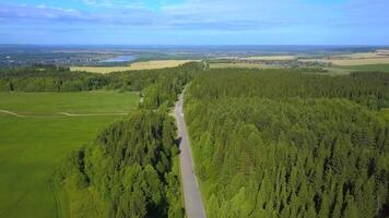 en fågelöga se av de skog. klämma. en enorm skog med lång grön träd, Nästa till de väg, Bakom som är en gul fält, blå himmel och i de distans en flod eller damm. video