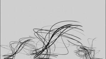 Drawing an abstract sketch with black twisting lines on a white background. Design. Curving narrow stripes creating beautiful monochrome pattern. video