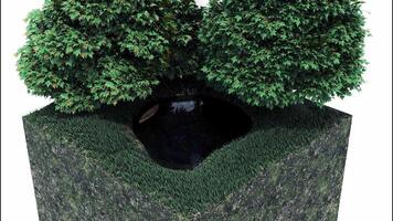 Abstract fragment of a city park on a small scale with a lush tree and a small pond. Design. Tiny water reservoir with a floating boat under the green bush. video