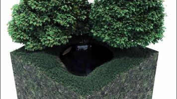 resumen fragmento de un ciudad parque en un pequeño escala con un lozano árbol y un pequeño estanque. diseño. minúsculo agua reservorio con un flotante barco debajo el verde arbusto. video