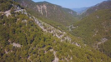 Beautiful view from the drone. Clip. Huge green mountains, with tall trees in the background, a clear blue slightly misty sky. video