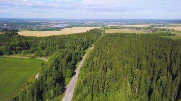 se från en helikopter. klämma. en enorm grön skog och fält mot de bakgrund av en lite molnig himmel och en stad i de distans. video